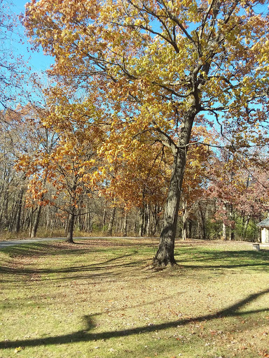Nature Preserve «Harms Woods», reviews and photos, Harms Rd, Glenview, IL 60025, USA
