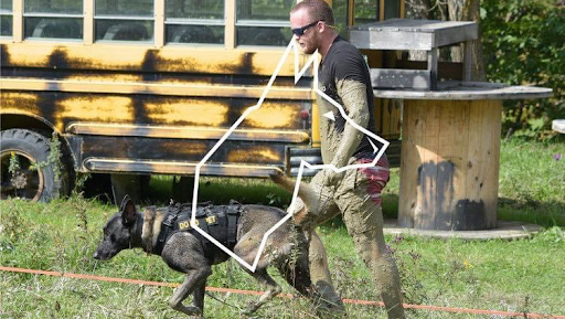 Grand Rapids K9 - Dog Training