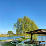 Photo n°6 de l'avis de Leonardo.e fait le 18/04/2021 à 13:57 sur le  Ristorante Bar Pizzeria Oasi al Lago à Santa Maria a Monte