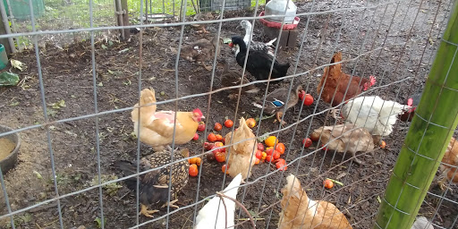 Produce Market «Highland Orchards Farm Market», reviews and photos, 1431 Foulk Rd, Wilmington, DE 19803, USA