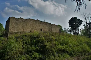 Castle ruins Šelenburk image