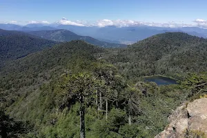 Reserva Nacional Villarrica image