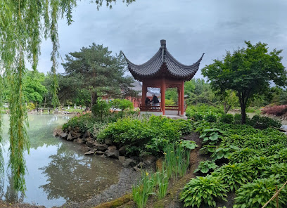 Chinese Garden