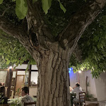 Photo n°2 de l'avis de Simone.e fait le 20/07/2019 à 20:12 sur le  Fucazzeria Da Francesco à Cavallino