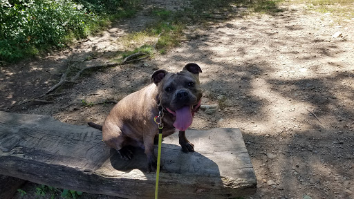 Pet Supply Store «Pet Supplies Plus», reviews and photos, 500 S St W, Raynham, MA 02767, USA