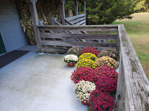 Community Park «Wells Mills County Park», reviews and photos, 905 Wells Mills Rd, Waretown, NJ 08758, USA