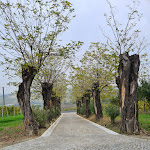 Photo n°27 de l'avis de Jean.a fait le 13/11/2022 à 08:16 sur le  La Villa Hotel à Mombaruzzo