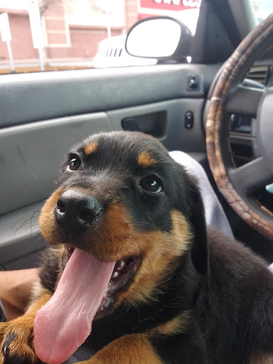 Shopping Mall «Conway Commons Shopping Center», reviews and photos, 310 Conway Blvd, Conway, AR 72034, USA