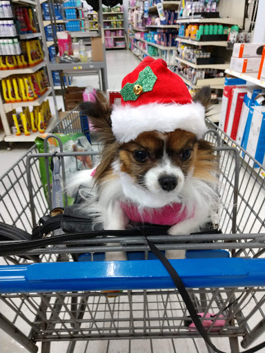 Pet Supply Store «Petco Animal Supplies», reviews and photos, 1605 Beltline Rd SW, Decatur, AL 35601, USA