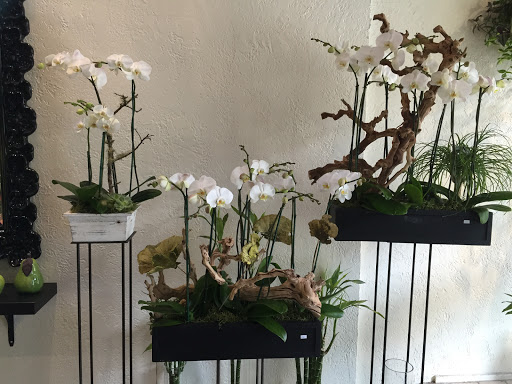 Florist «FloralArt + Decor», reviews and photos, 1414 Burlingame Ave, Burlingame, CA 94010, USA