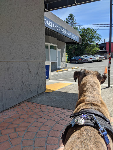 Oaklands Veterinary Hospital image