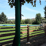 Photo n°12 de l'avis de alessio.p fait le 16/08/2020 à 20:51 sur le  Residence Hotel Campastrello Sport à Castagneto Carducci