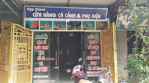 Cá Cảnh Hợp Thành