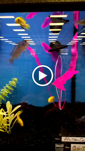 Pet Store «Pet Depot», reviews and photos, 10008 Memorial Pkwy SW, Huntsville, AL 35803, USA