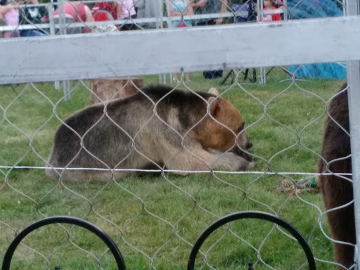 Fairground «Bangor State Fair», reviews and photos, 515 Main St, Bangor, ME 04401, USA