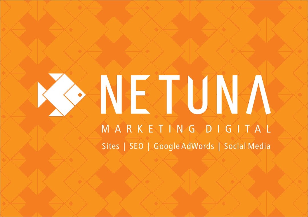 Netuna Marketing Digital - Desenvolvimento de Sites Wordpress em BH
