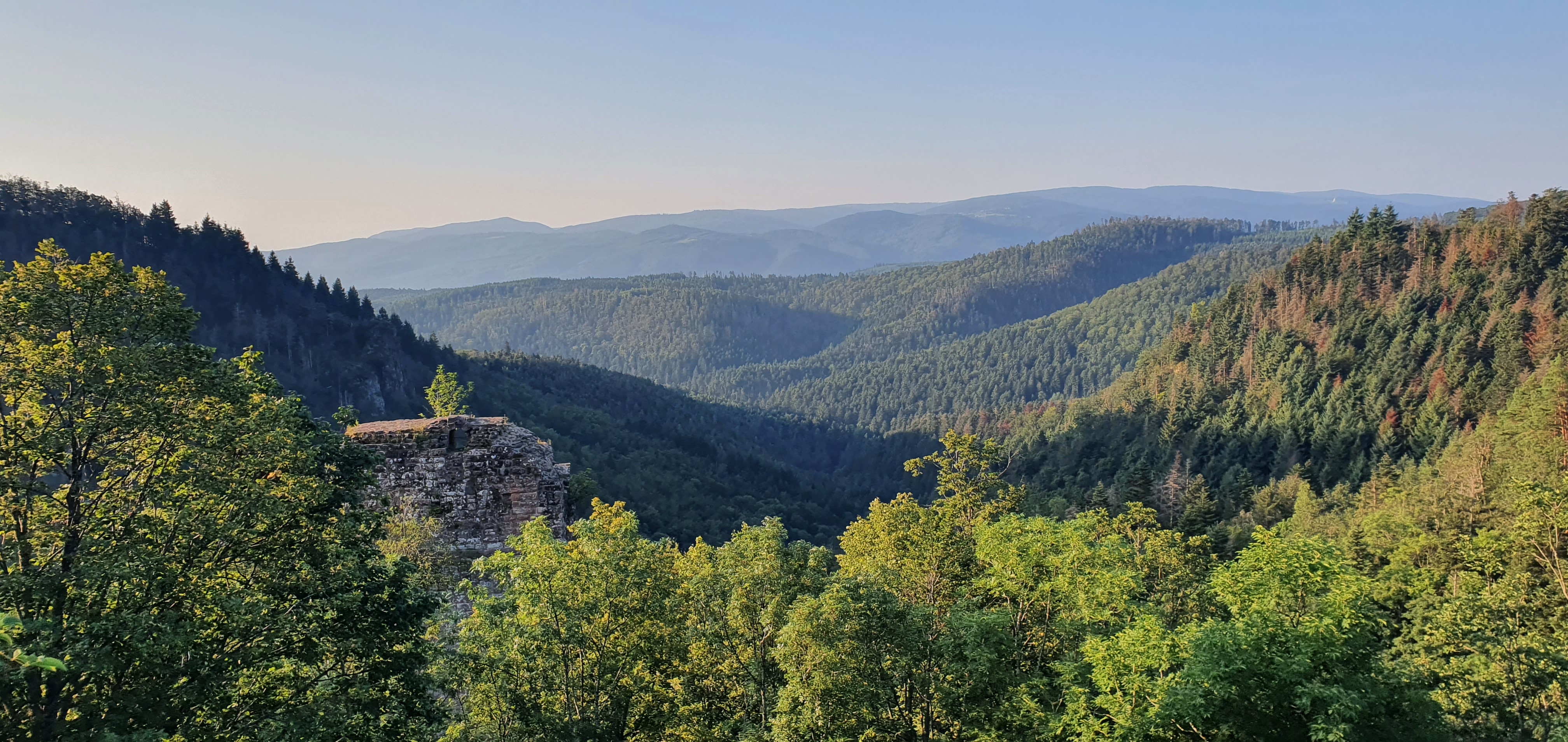 Photo n° 3 de l'avis de Dominique.E fait le 15/08/2021 à 17:56