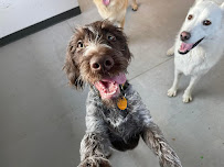 Pawsitive Pet Services - Photo 9 - Car repair in Lawton, IA, Sioux City