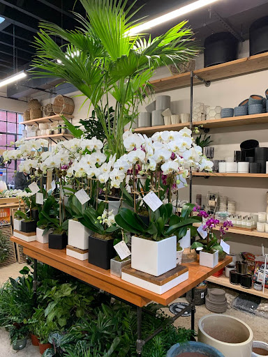 Florist «Englewood Florist, Inc.», reviews and photos, 47 E Palisade Ave, Englewood, NJ 07631, USA