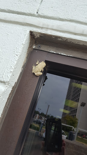 Car Wash «Sparkle Brite Car Wash», reviews and photos, 620 Emory Dr, Owensboro, KY 42301, USA