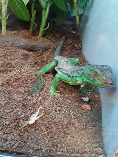 Pet Supply Store «Petco Animal Supplies», reviews and photos, 4013 W Walnut St, Rogers, AR 72756, USA