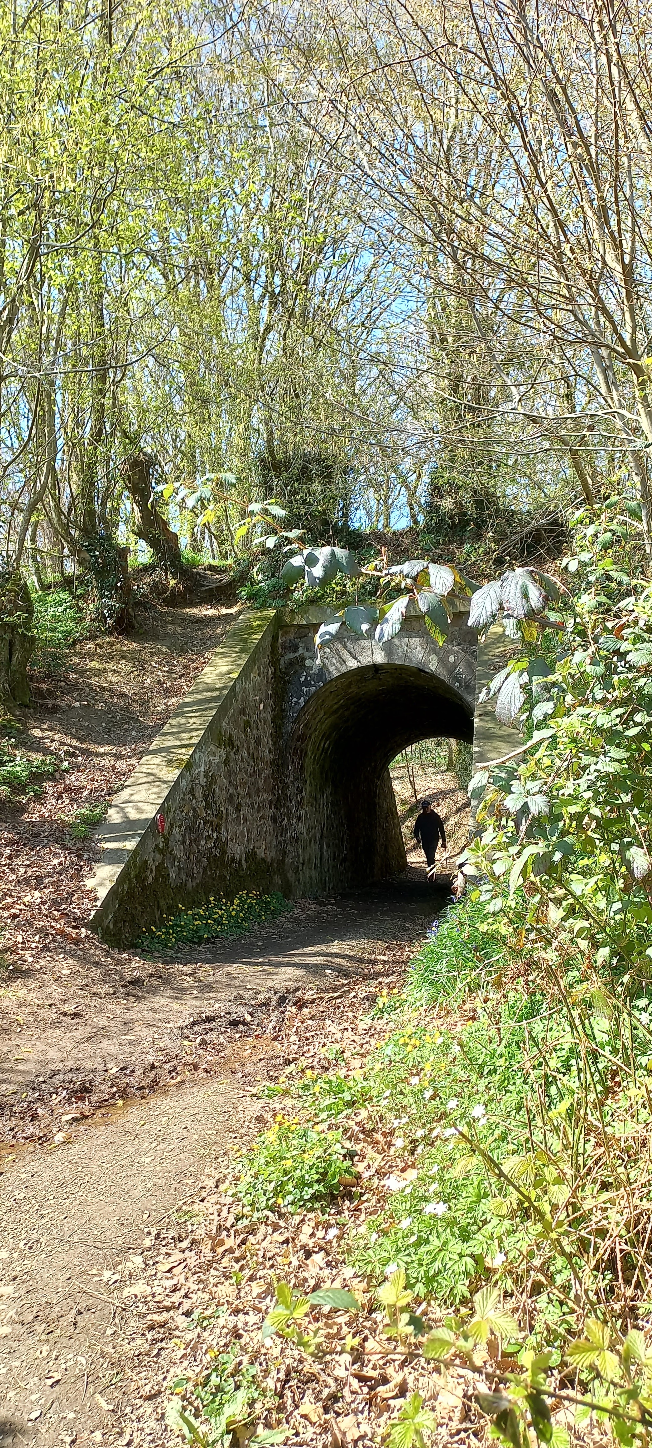 Photo n° 8 de l'avis de Françoise.o fait le 16/04/2023 à 15:18