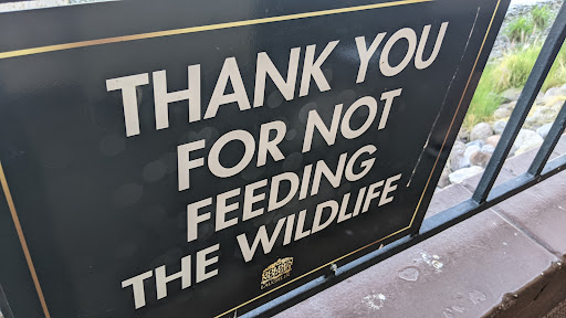 Casino «Golden Nugget Hotel & Casino», reviews and photos, 2300 S Casino Dr, Laughlin, NV 89029, USA