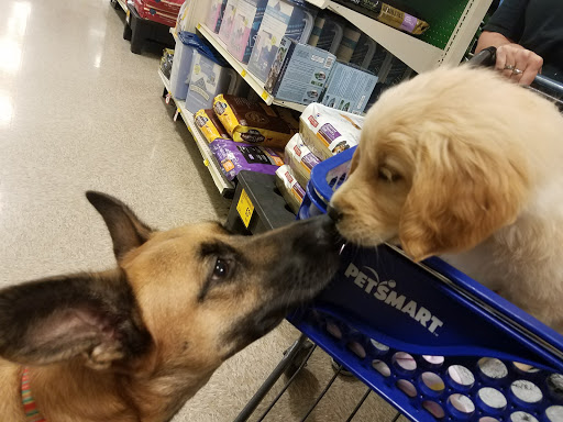 Pet Supply Store «PetSmart», reviews and photos, 316 NE 78th St, Vancouver, WA 98665, USA