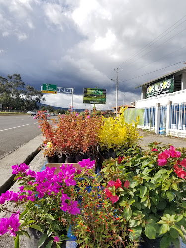 Vivero Los Alisos - Centro de jardinería