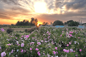 Farm Americana image