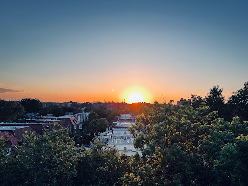 Stadium «Forest Hills Stadium», reviews and photos, 1 Tennis Pl, Forest Hills, NY 11375, USA