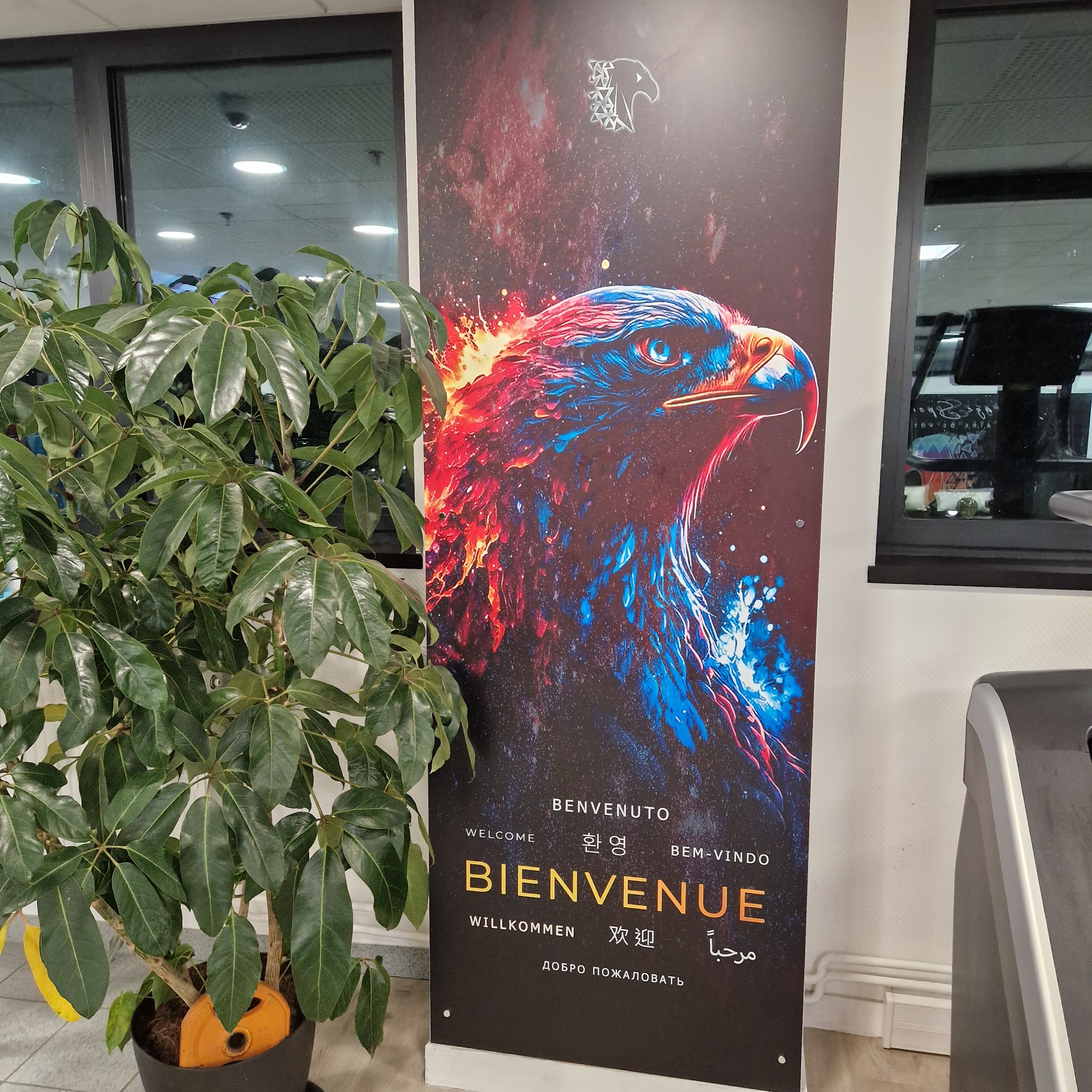 Photo n° 2 de l'avis de Strong.a fait le 04/11/2023 à 17:39