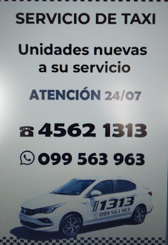 Opiniones de TAXI 1313 en Mercedes - Servicio de taxis