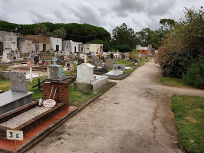 Cementerio De Miramar