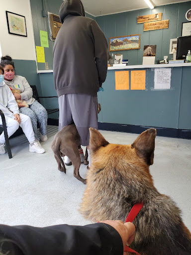 Wapato Toppenish Veterinary Clinic
