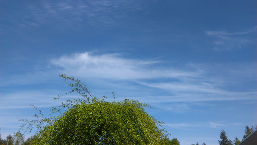 Community Center «East Portland Community Center», reviews and photos, 740 SE 106th Ave, Portland, OR 97216, USA