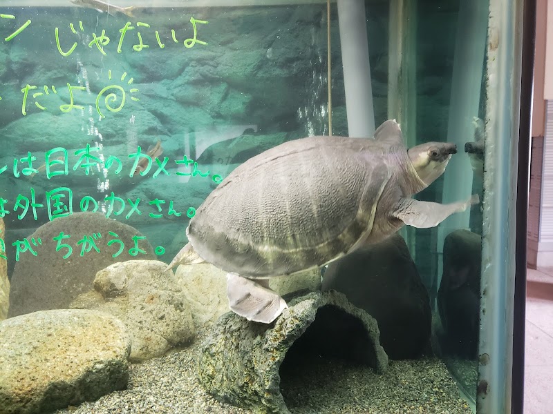 桐生が岡公園 水族館 群馬県桐生市宮本町 水族館 水族館 グルコミ