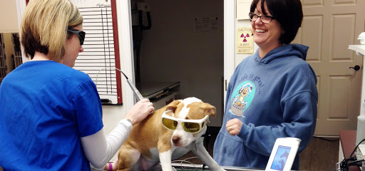 Animal Hospital of East Davie, P.C. image