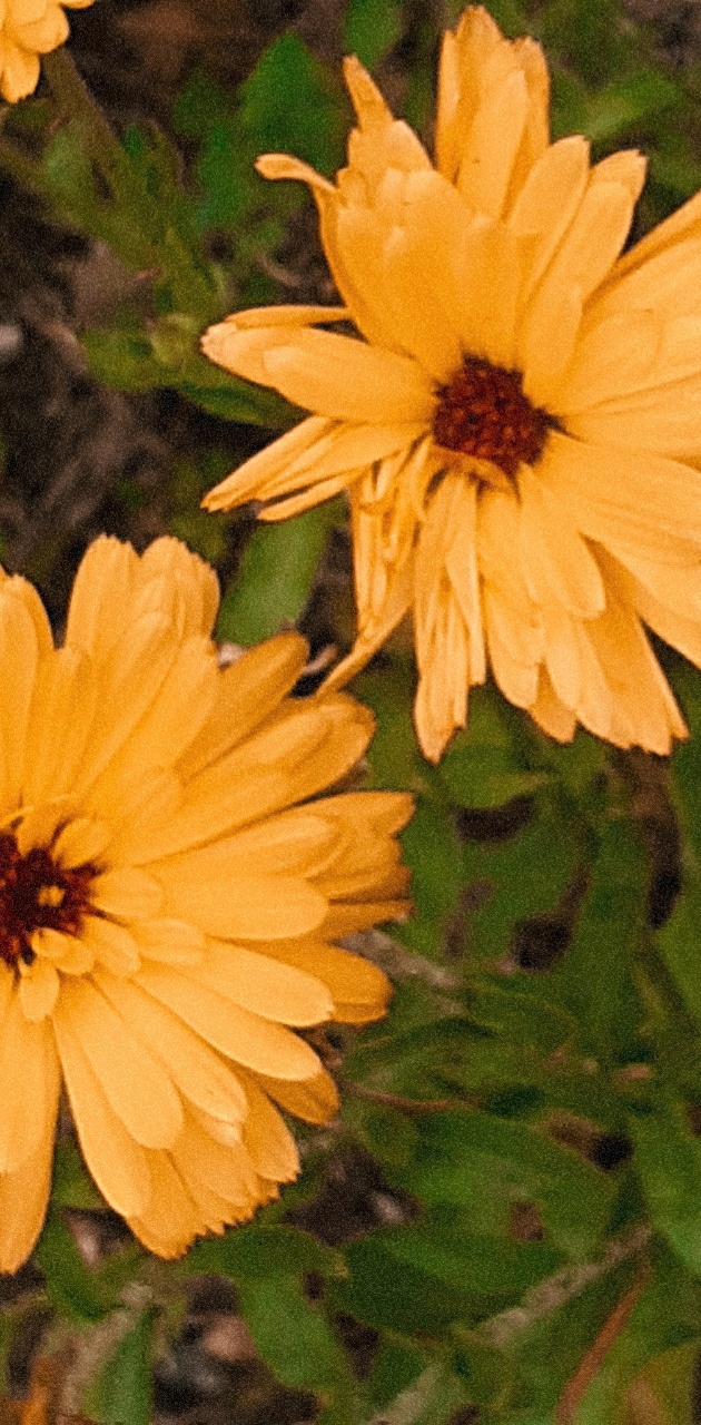 Photo n° 1 de l'avis de Ciccio.e fait le 28/07/2020 à 01:20