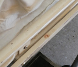 Specialist Hospital Dr. Belisario Dominguez photo