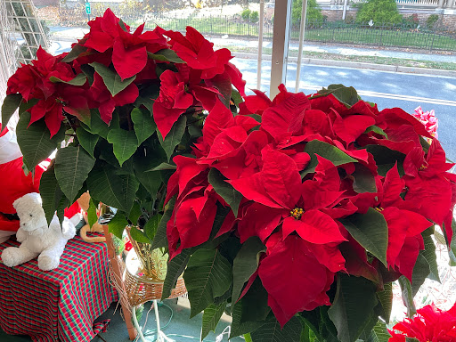 Florist «Riverside Floral Co», reviews and photos, 307 Bridgeboro St, Riverside, NJ 08075, USA