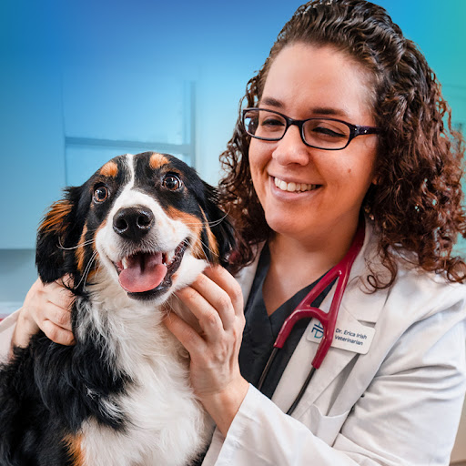NewDay Veterinary Care image