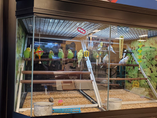 Pet Supply Store «PetSmart», reviews and photos, 4400 Fort Jackson Blvd #300, Columbia, SC 29209, USA