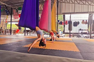 Aerial Yoga Pro image