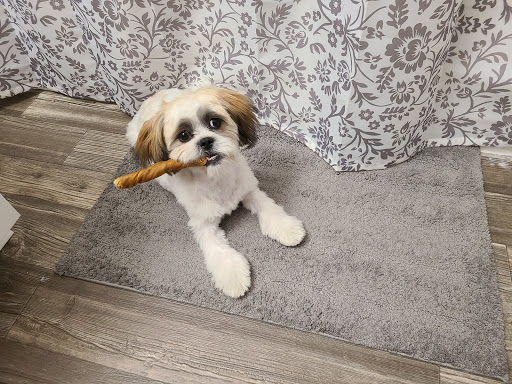 Pet Supply Store «PetSmart», reviews and photos, 16575 Washington St, Broomfield, CO 80020, USA