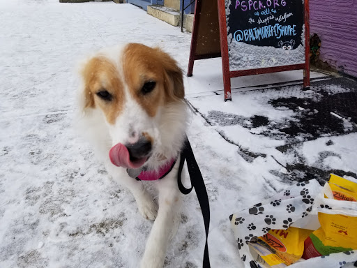 Pet Supply Store «Baltimore Pet Shoppe», reviews and photos, 4532 Baltimore Ave, Philadelphia, PA 19143, USA