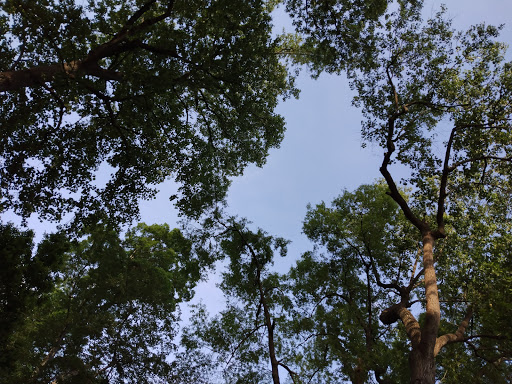 Zoo «Zoo Atlanta», reviews and photos, 800 Cherokee Ave SE, Atlanta, GA 30315, USA