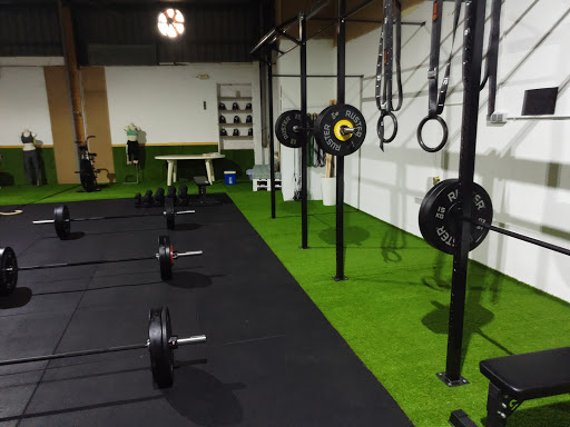 BEATO BOX en Ayora, Valencia