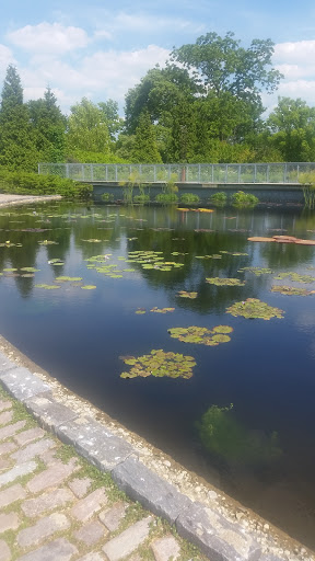 Park «Garfield Park Conservatory», reviews and photos, 300 N Central Park Ave, Chicago, IL 60624, USA
