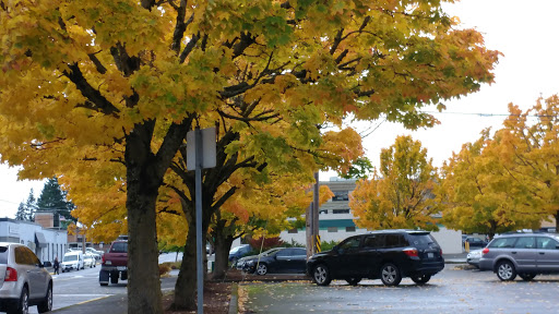 Dollar Store «Dollar Tree», reviews and photos, 1005 Stevenson Ave, Enumclaw, WA 98022, USA